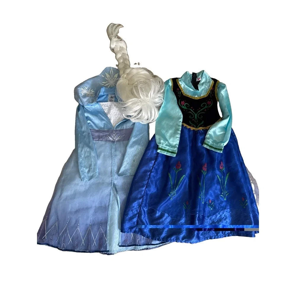 Disney Frozen Princess Elsa & Anna Dress Halloween Costume Size 5/6 With Wig